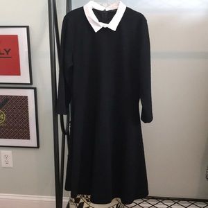 NWT & Adorable!  French Connection Dress - 10